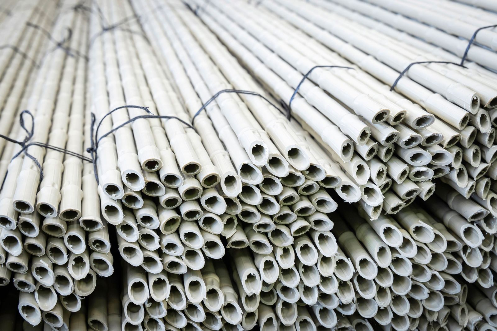 Home 17 Canne Agricoltura 2 scaled 9a7f7023